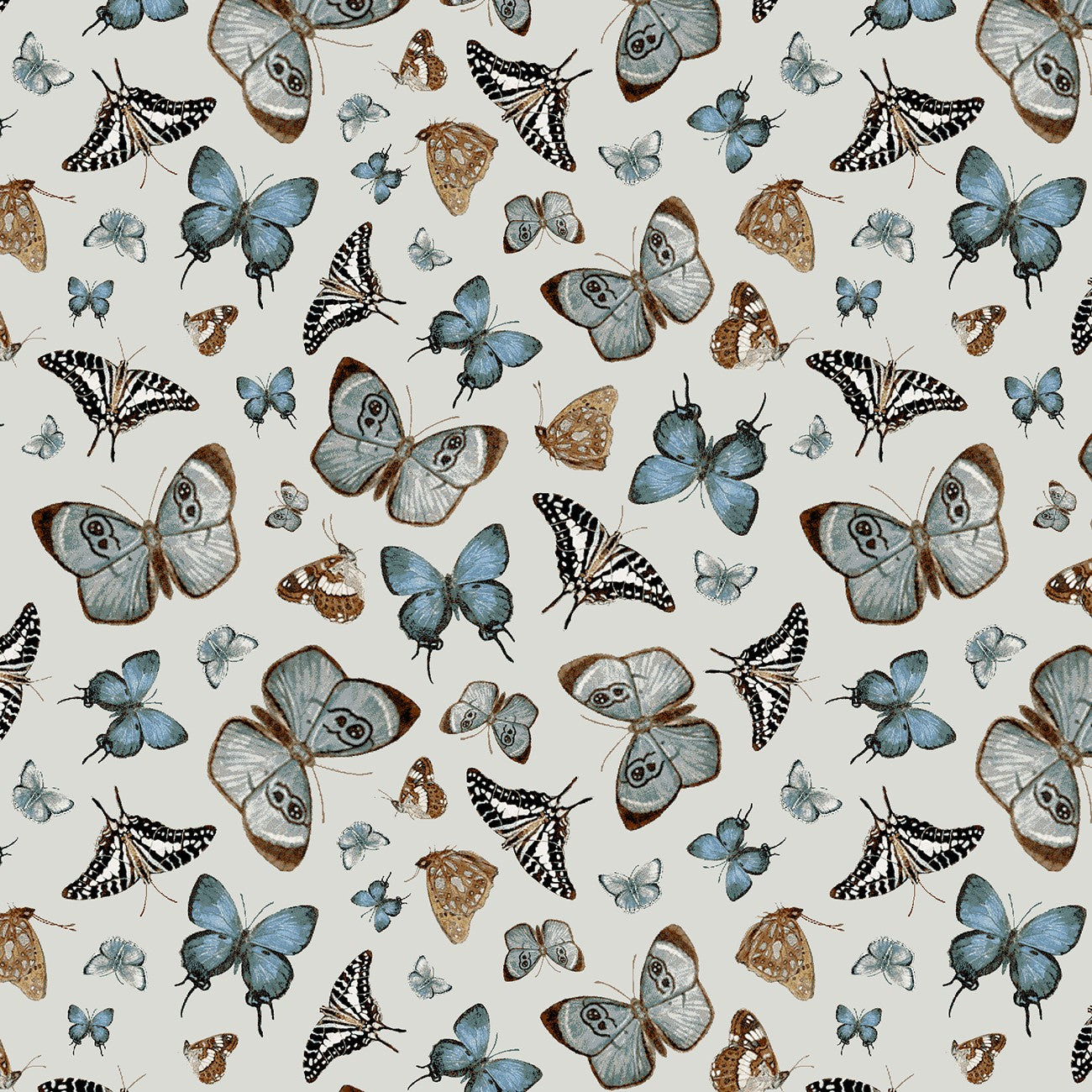 Blue Butterfly Toss 6 Inch Minky