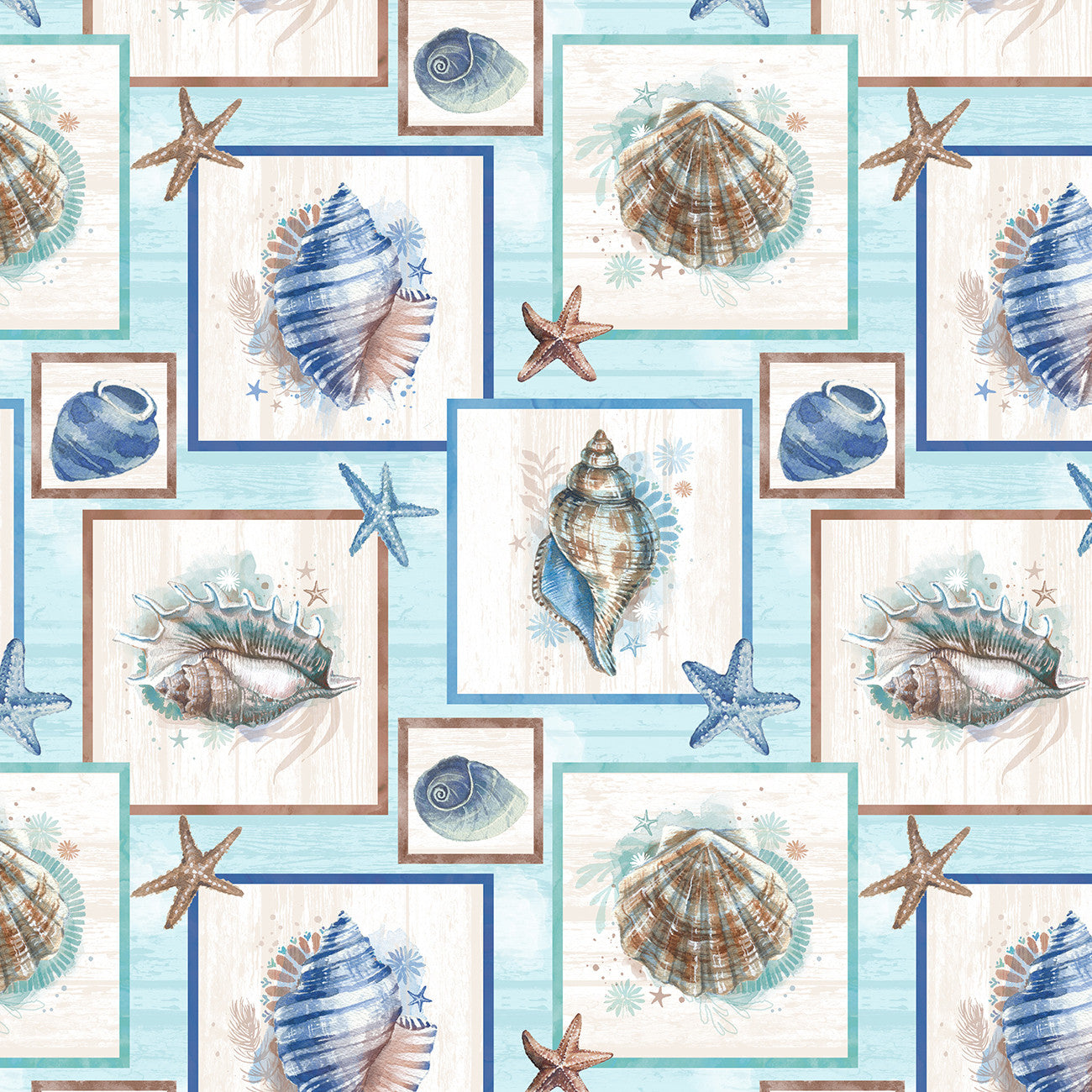 Seatopia Seashells