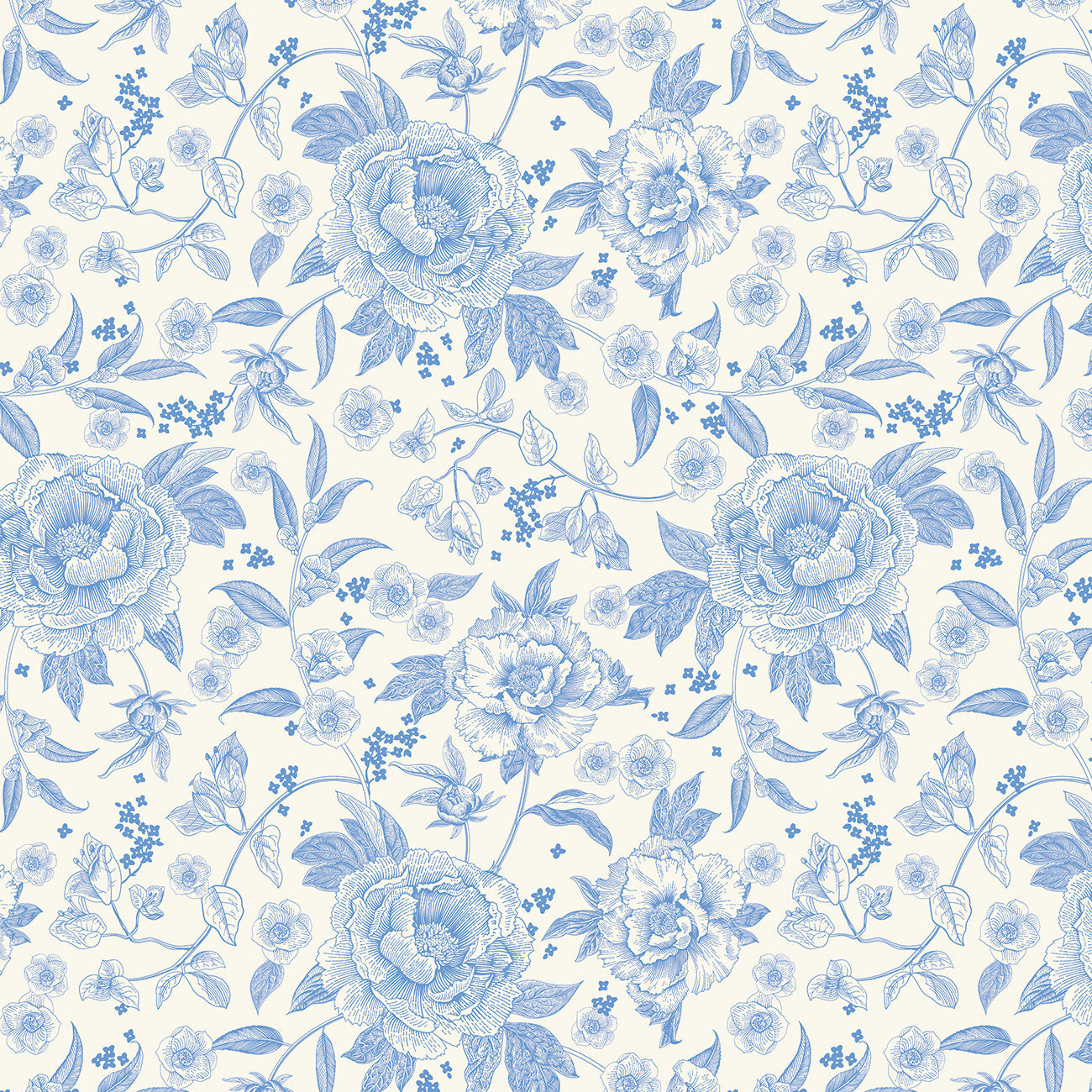 Penelope Main Cream