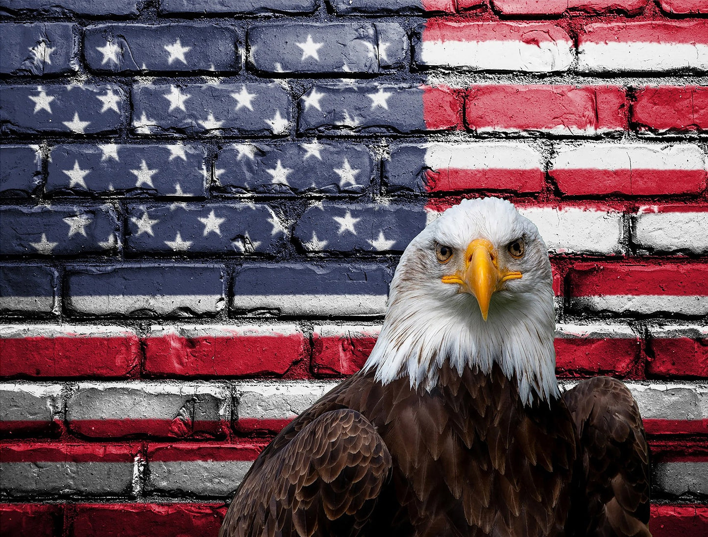 American Pride Panel 25in x 18.5in
