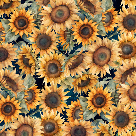 Multi Packed Sunflowers