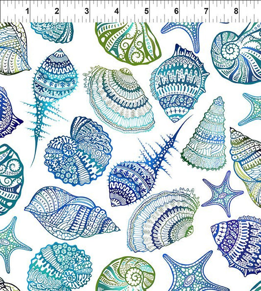 Wonders of the Ocean Shells by Jason Yenter