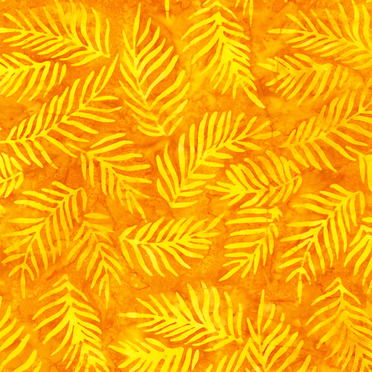 Palm Fronds Sunshine