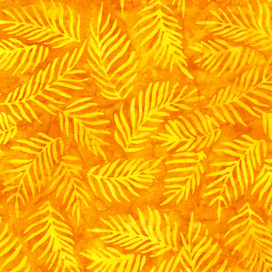 Palm Fronds Sunshine