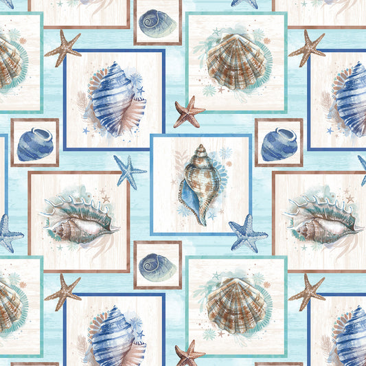 Seatopia Seashells