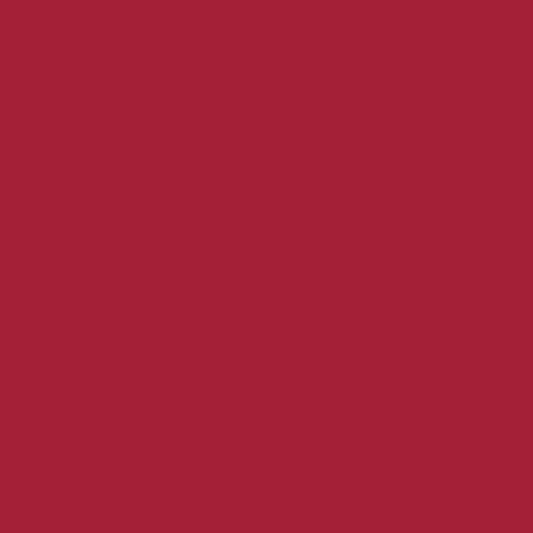 Confetti Cotton Solids Barnred