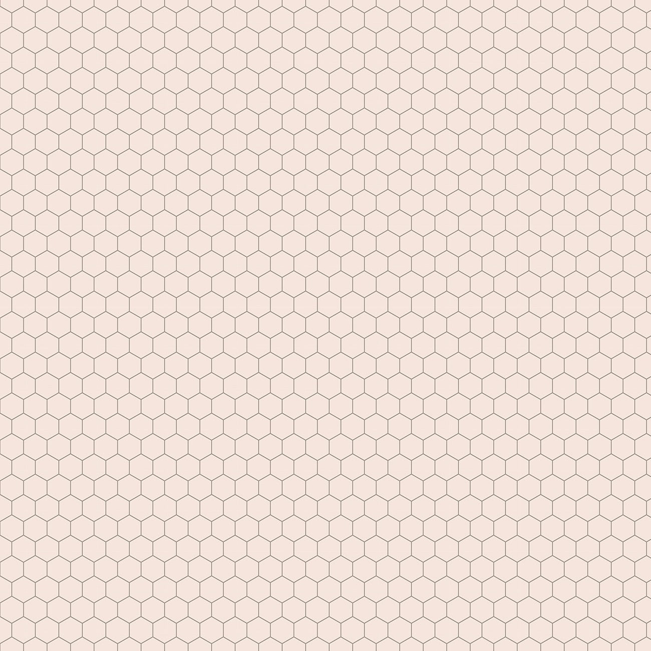 Farmer's Daughter Chicken Wire Background Rustic