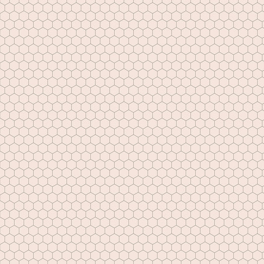 Farmer's Daughter Chicken Wire Background Rustic
