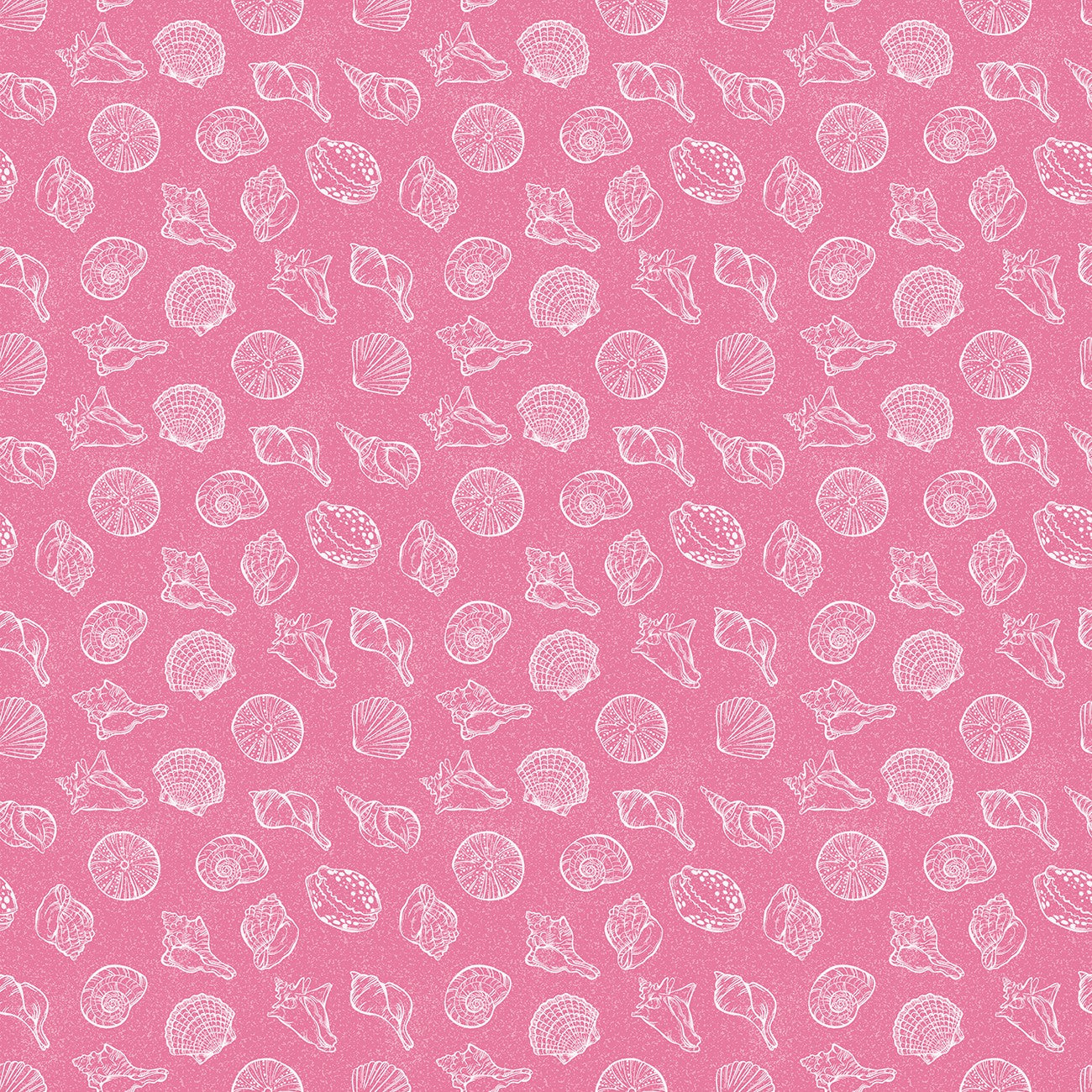 Reef Shells Pink