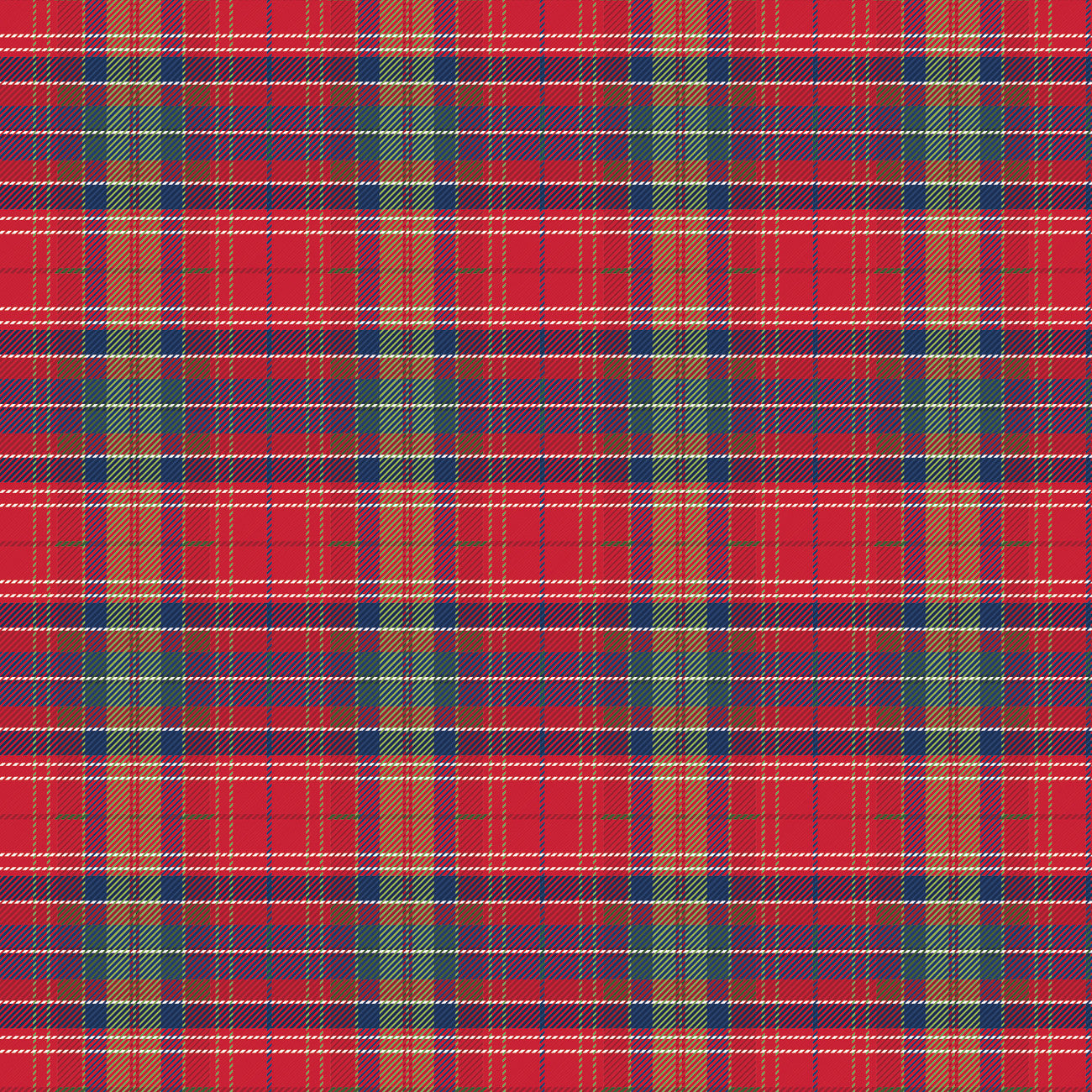 More Christmas Wishes Lumberjack Red by Riley Blake Designs