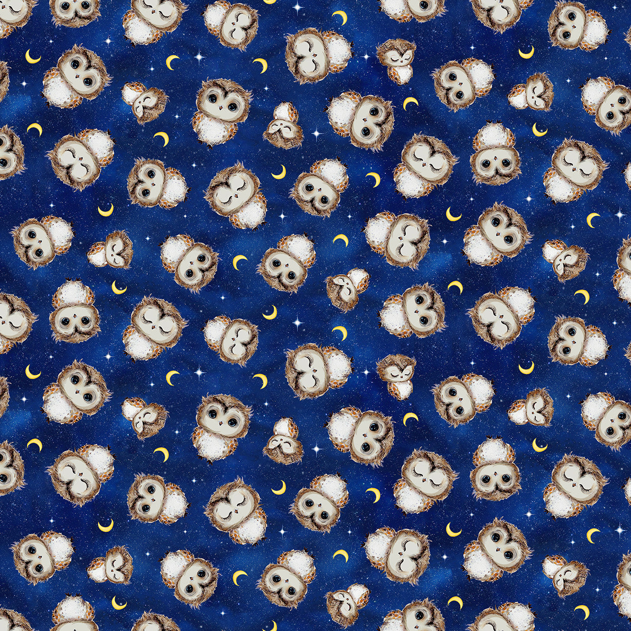 Night Tossed Owls & Moons