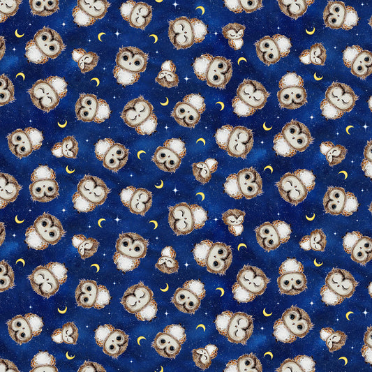 Night Tossed Owls & Moons