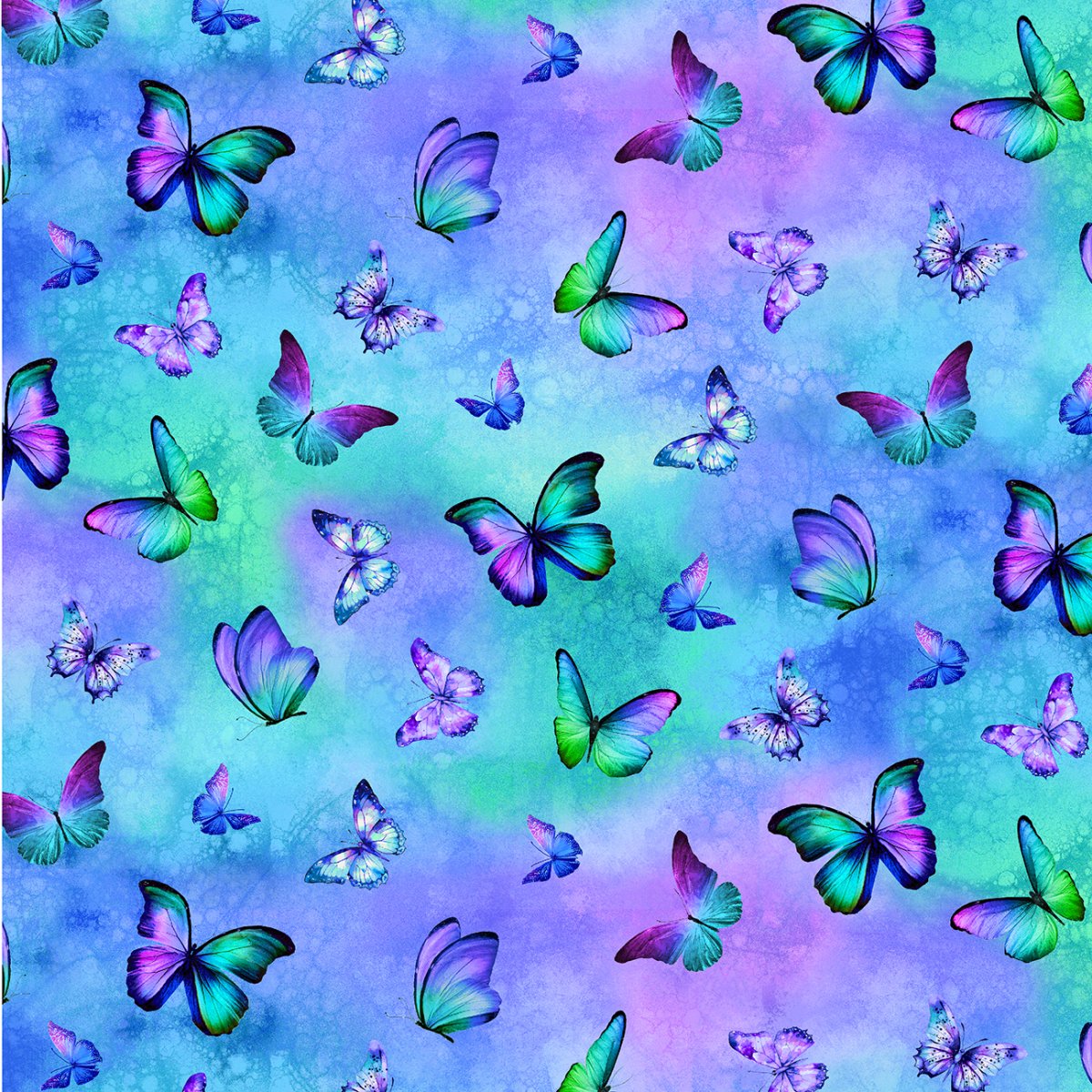 Multi Dreamy Butterflies