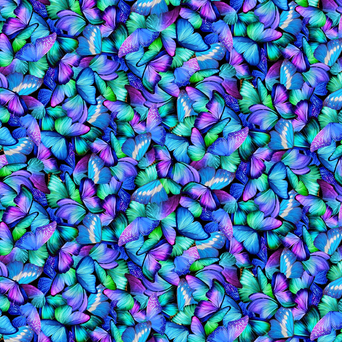 Black Packed Butterflies