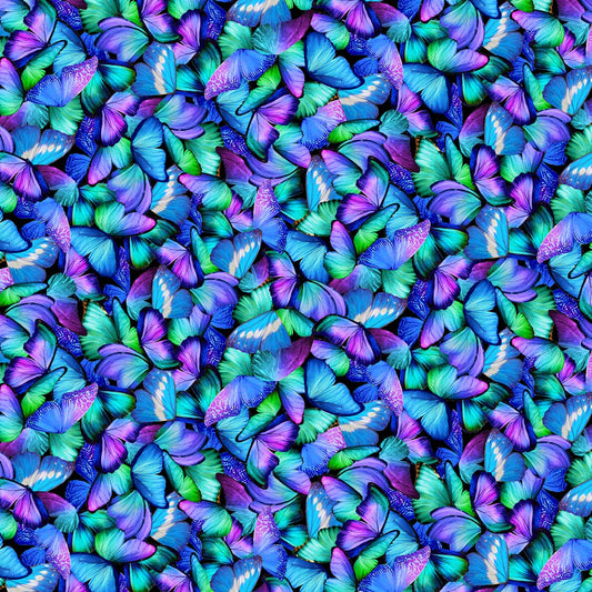 Black Packed Butterflies