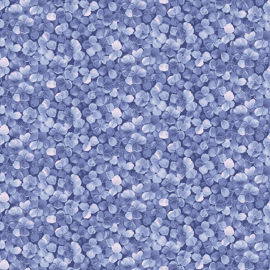 Allover Floral Periwinkle Pearl Hydrangeas in the Garden