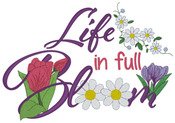 Spring Fringe Applique And More Embroidery Designs