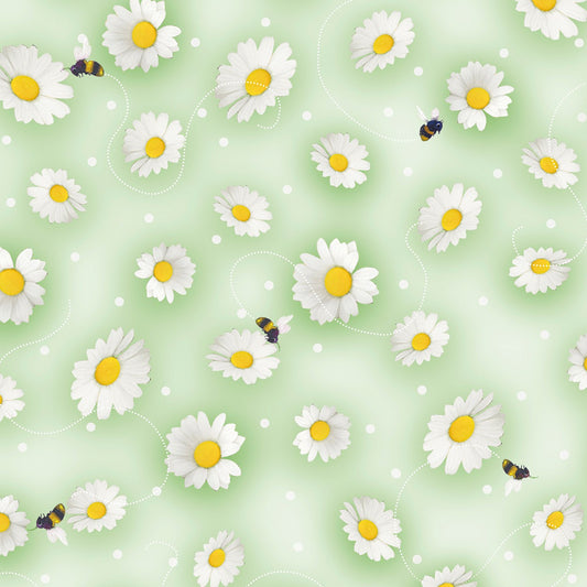Spring Sweeties Daisy Toss