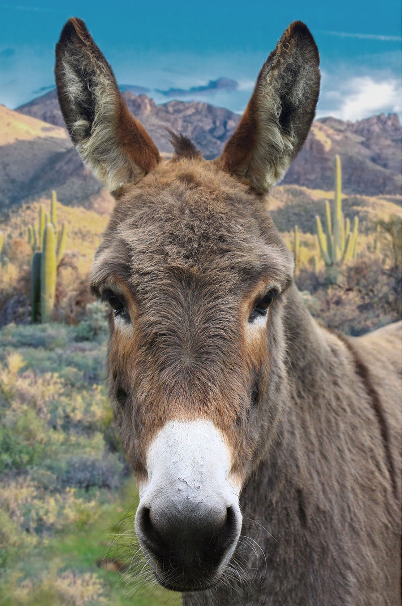 Call Of The Wild Donkey Rusty