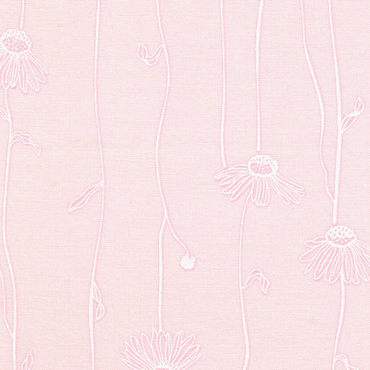 Alabastar Hues Cone Flowers Pearl Pink