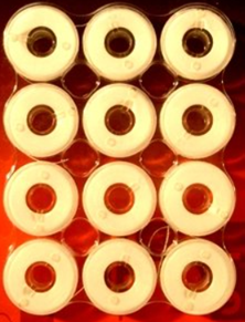 Prewound Janome Bobbins 10 Ct